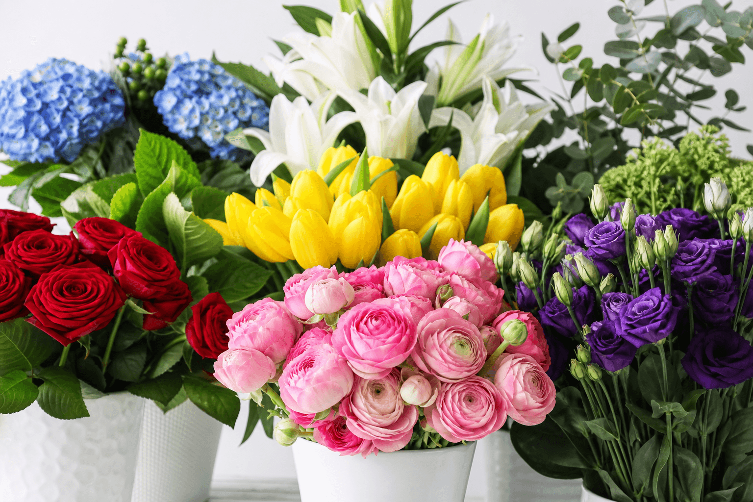 Flower Color Meaning: What Every Shade Says