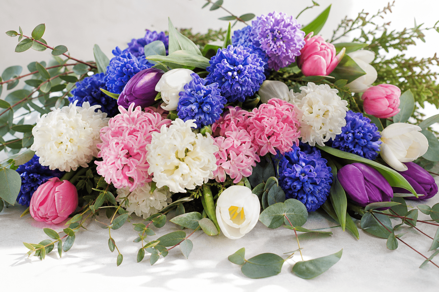 Hyacinth Flower Meaning: Sincerity, Sorrow and Spring