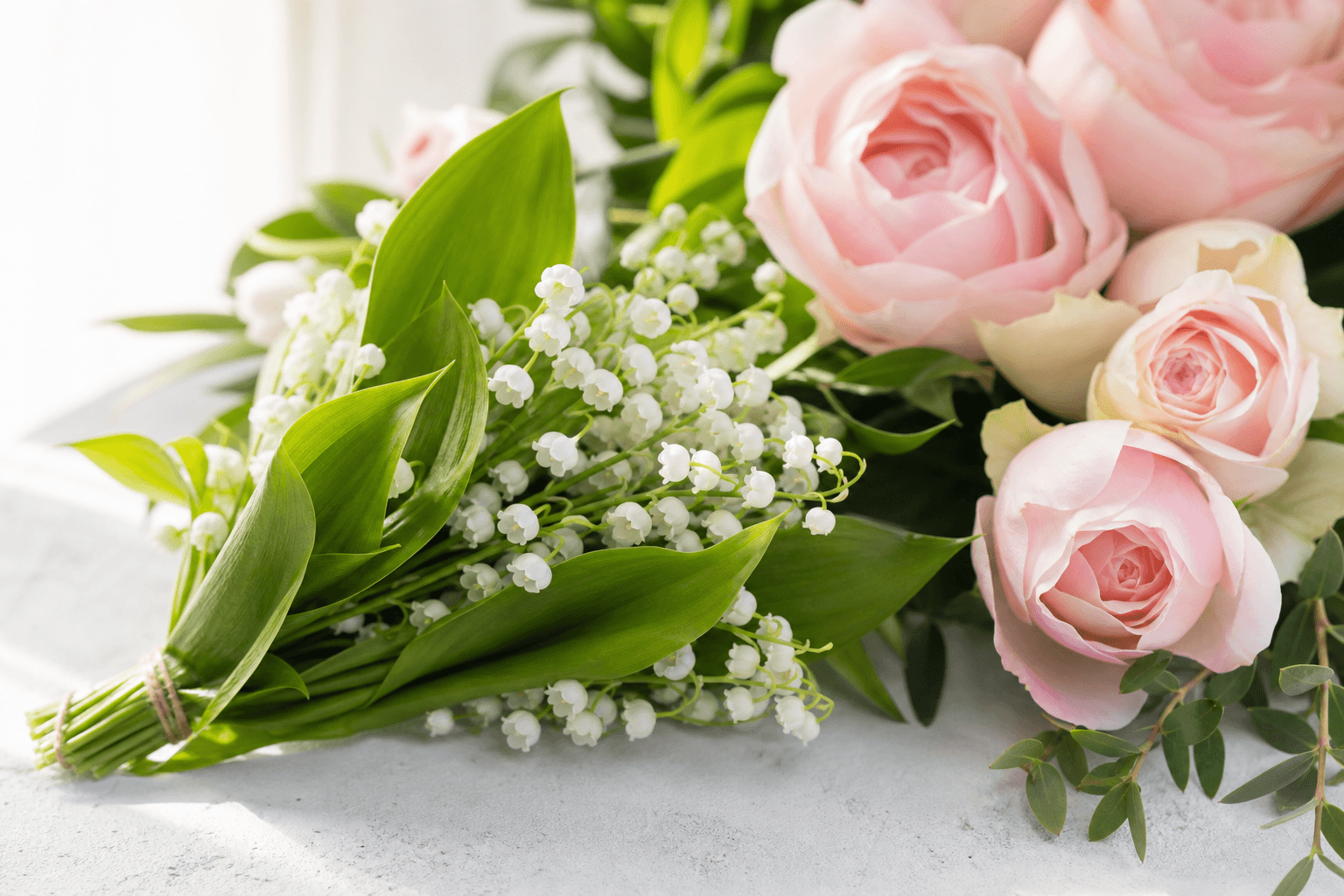 Lily of the Valley Flower Meaning: Return of Happiness