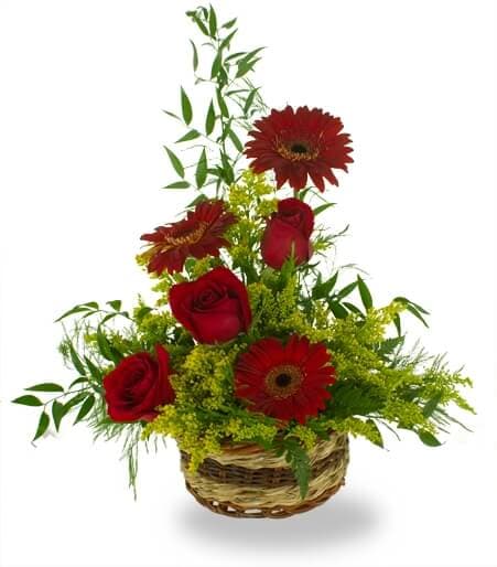 The Bold and Beautiful Arrangement