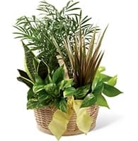 French Garden view 2