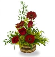 The Bold and Beautiful Arrangement view 2