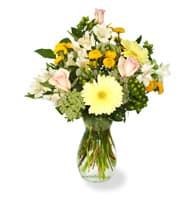 The Sweetest Touch view 2