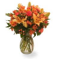 Orange Delight view 2