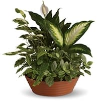 Serene Retreat view 2