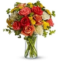 Citrus Kissed view 2