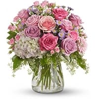 Your Light Shines view 2