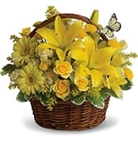 Basket Full of Wishes view 2