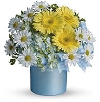 Once Upon a Daisy view 2