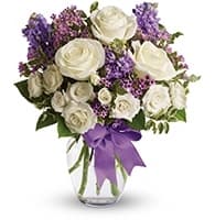 Enchanted Cottage view 2