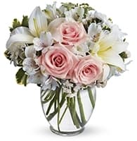 Arrive In Style view 2