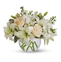 Isle of White view 2