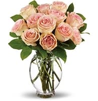 Delicate Dozen view 2