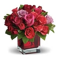 Madly in Love view 2